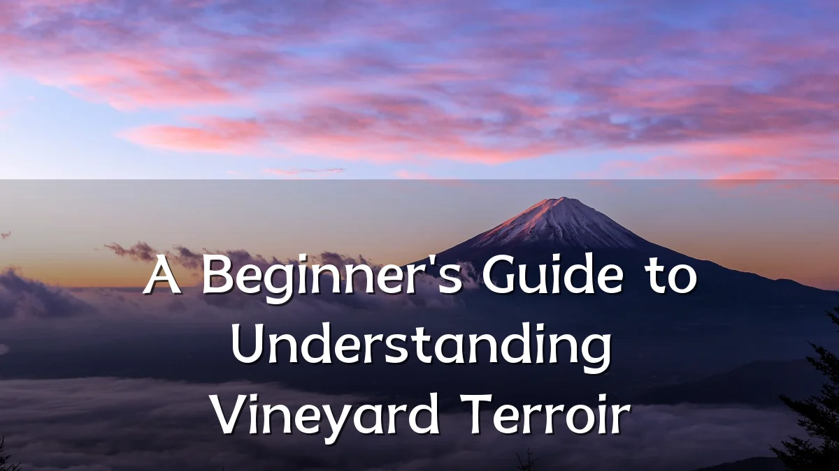 A Beginner's Guide to Understanding Vineyard Terroir