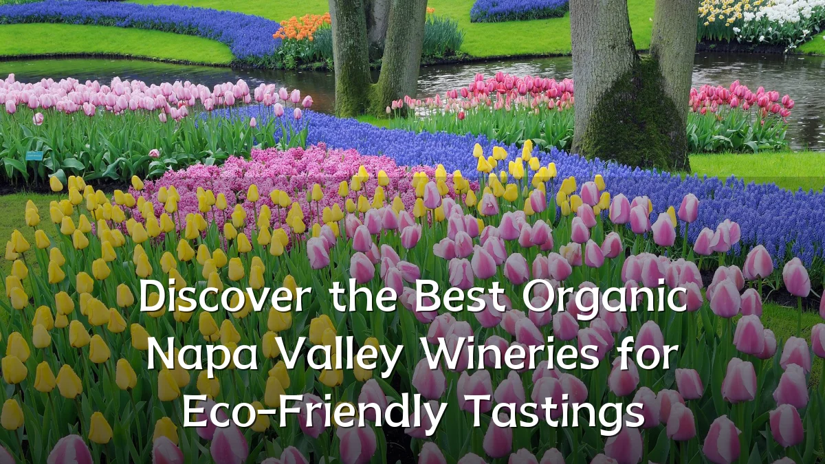 Discover the Best Organic Napa Valley Wineries for Eco-Friendly Tastings