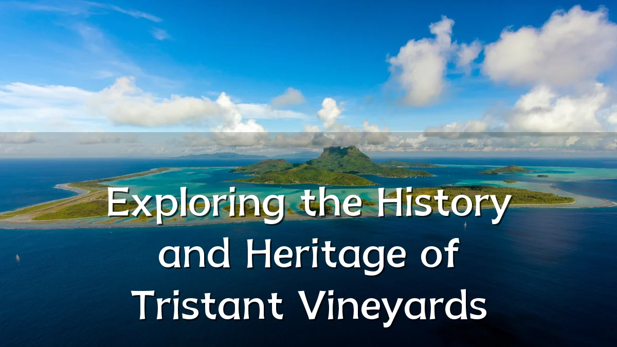 Exploring the History and Heritage of Tristant Vineyards