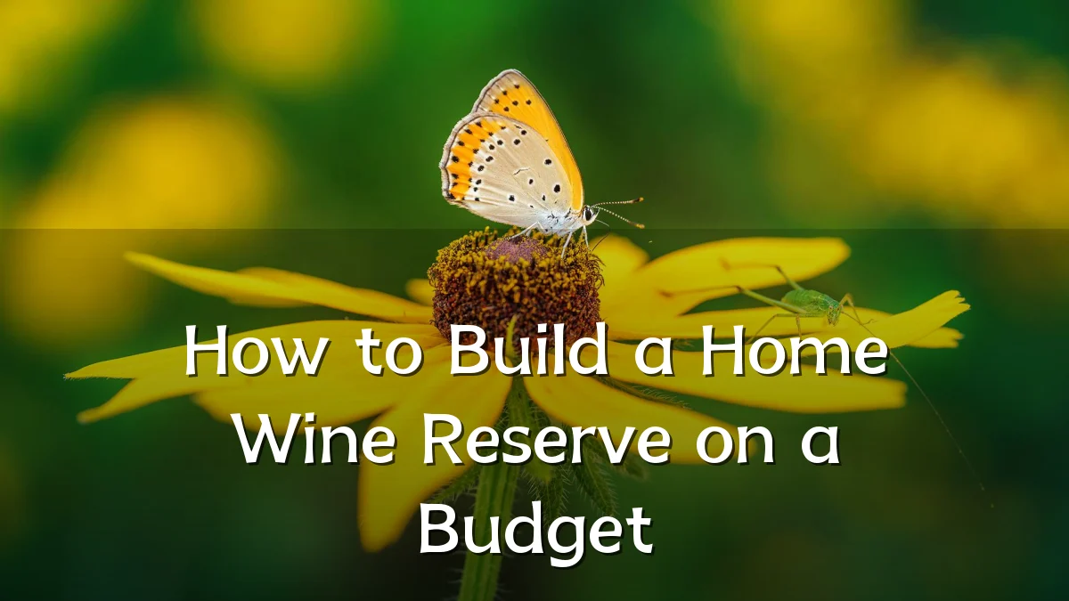 How to Build a Home Wine Reserve on a Budget