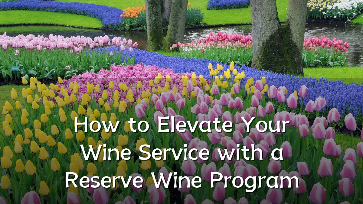 How to Elevate Your Wine Service with a Reserve Wine Program
