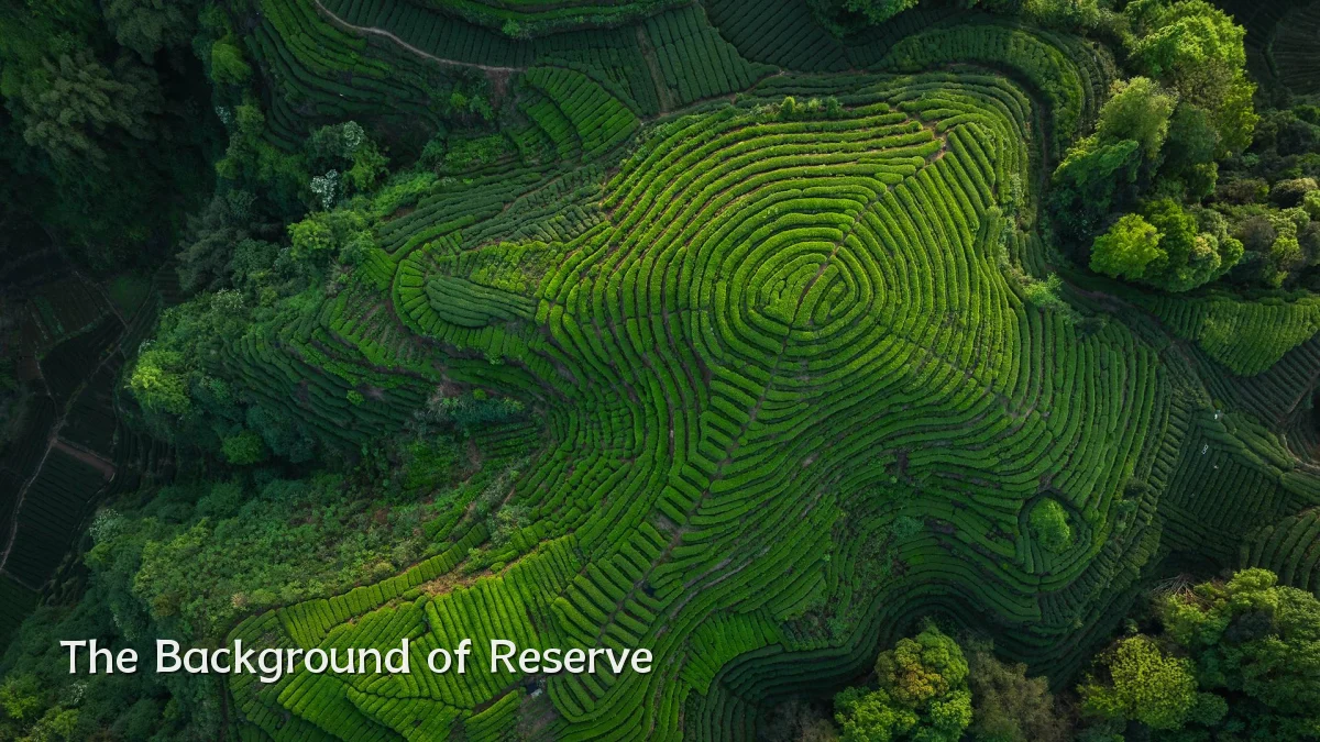 The Background of Reserve