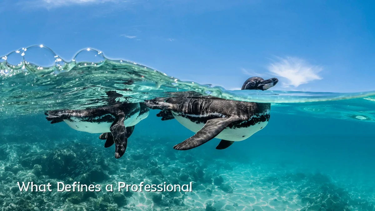 What Defines a Professional