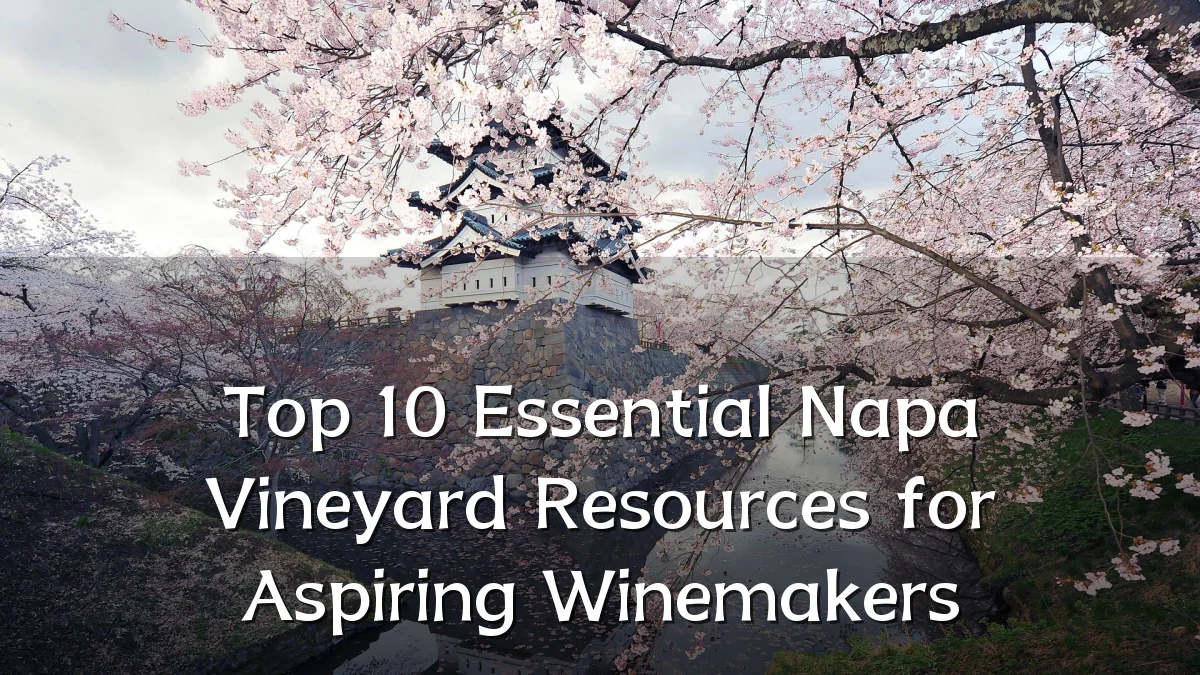 Top 10 Essential Napa Vineyard Resources for Aspiring Winemakers