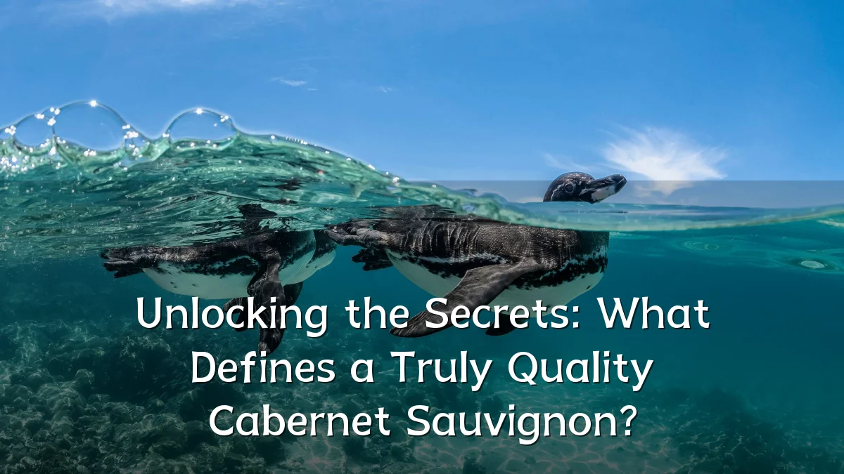 Unlocking the Secrets: What Defines a Truly Quality Cabernet Sauvignon?