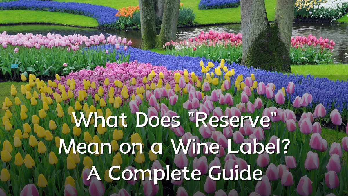 What Does "Reserve" Mean on a Wine Label? A Complete Guide