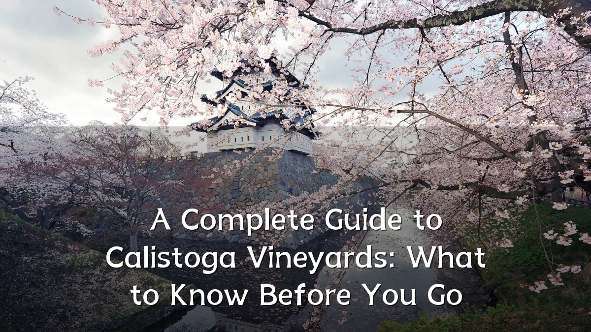 A Complete Guide to Calistoga Vineyards: What to Know Before You Go