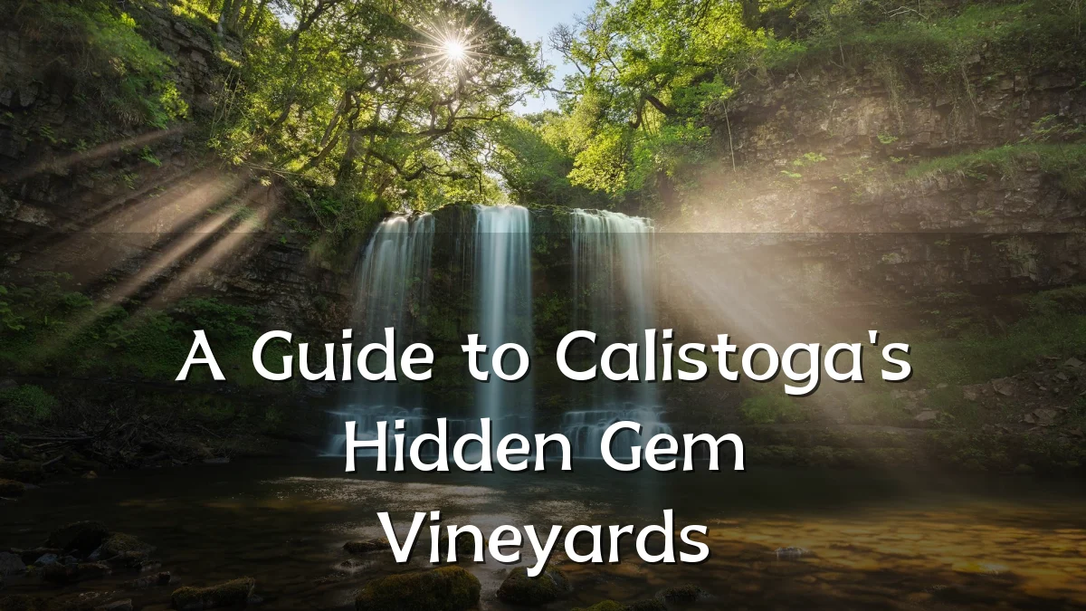 A Guide to Calistoga's Hidden Gem Vineyards