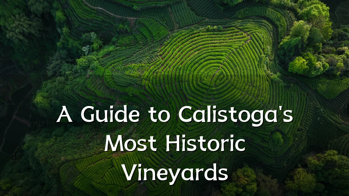 A Guide to Calistoga's Most Historic Vineyards