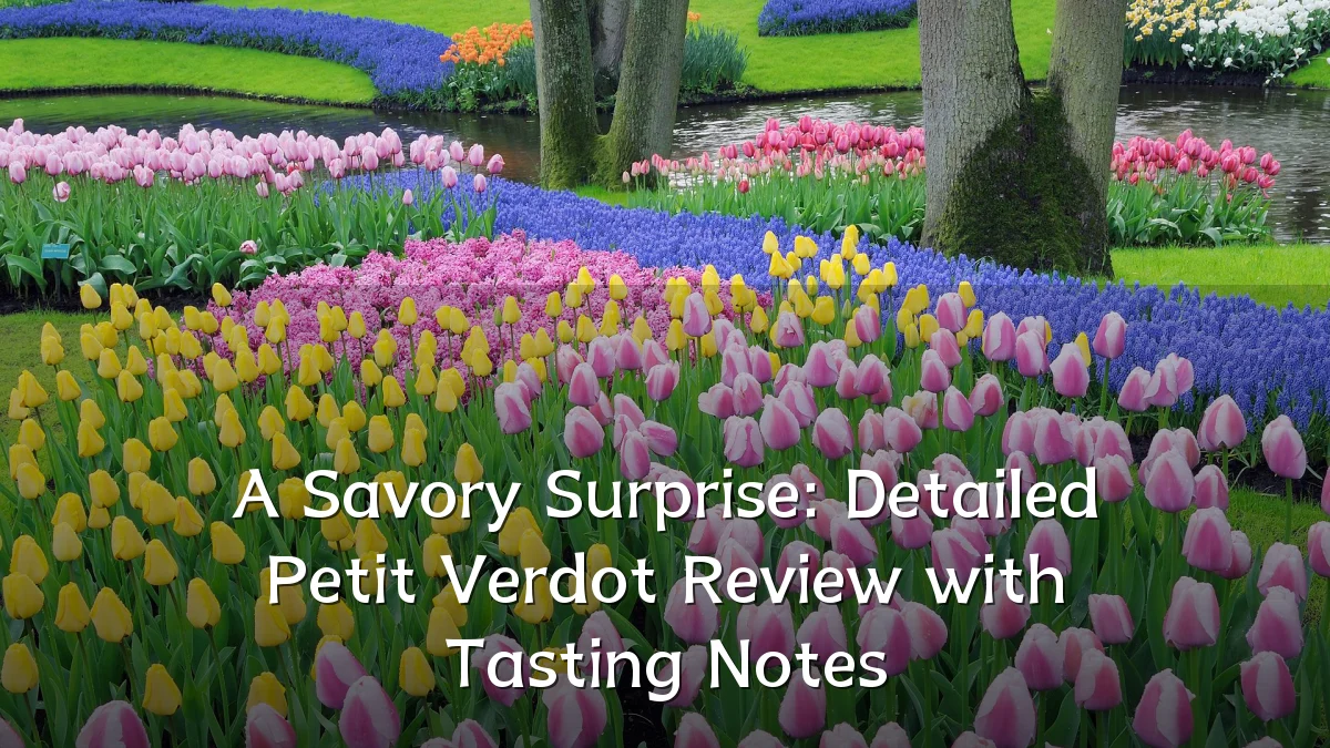 A Savory Surprise: Detailed Petit Verdot Review with Tasting Notes