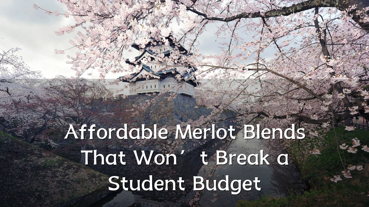 Affordable Merlot Blends That Won’t Break a Student Budget