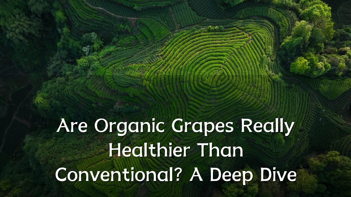 Are Organic Grapes Really Healthier Than Conventional? A Deep Dive