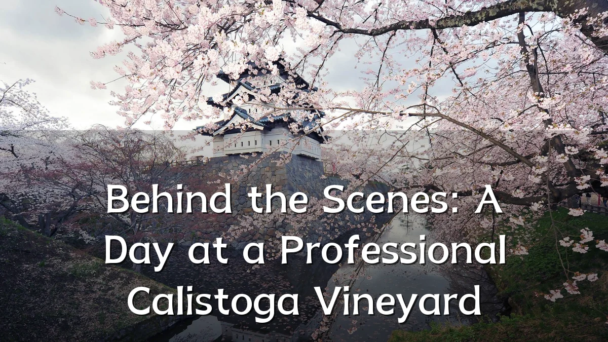 Behind the Scenes: A Day at a Professional Calistoga Vineyard