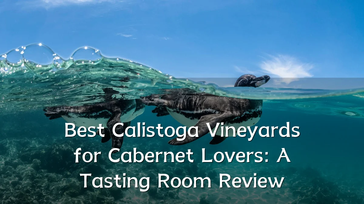 Best Calistoga Vineyards for Cabernet Lovers: A Tasting Room Review
