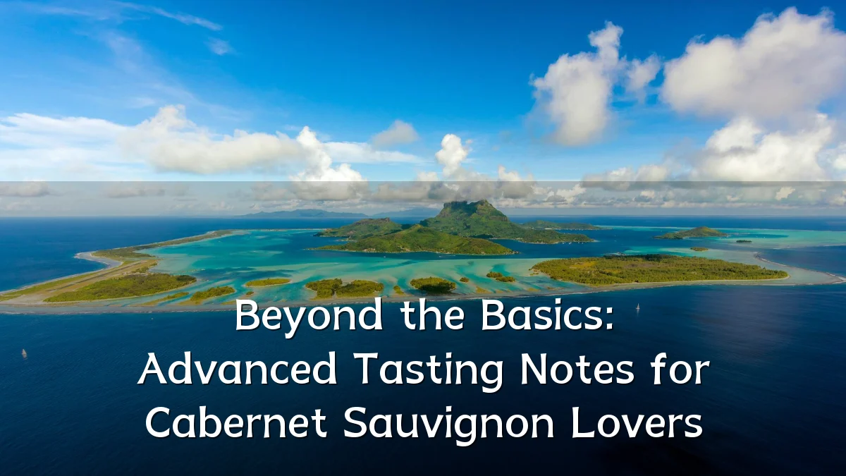 Beyond the Basics: Advanced Tasting Notes for Cabernet Sauvignon Lovers