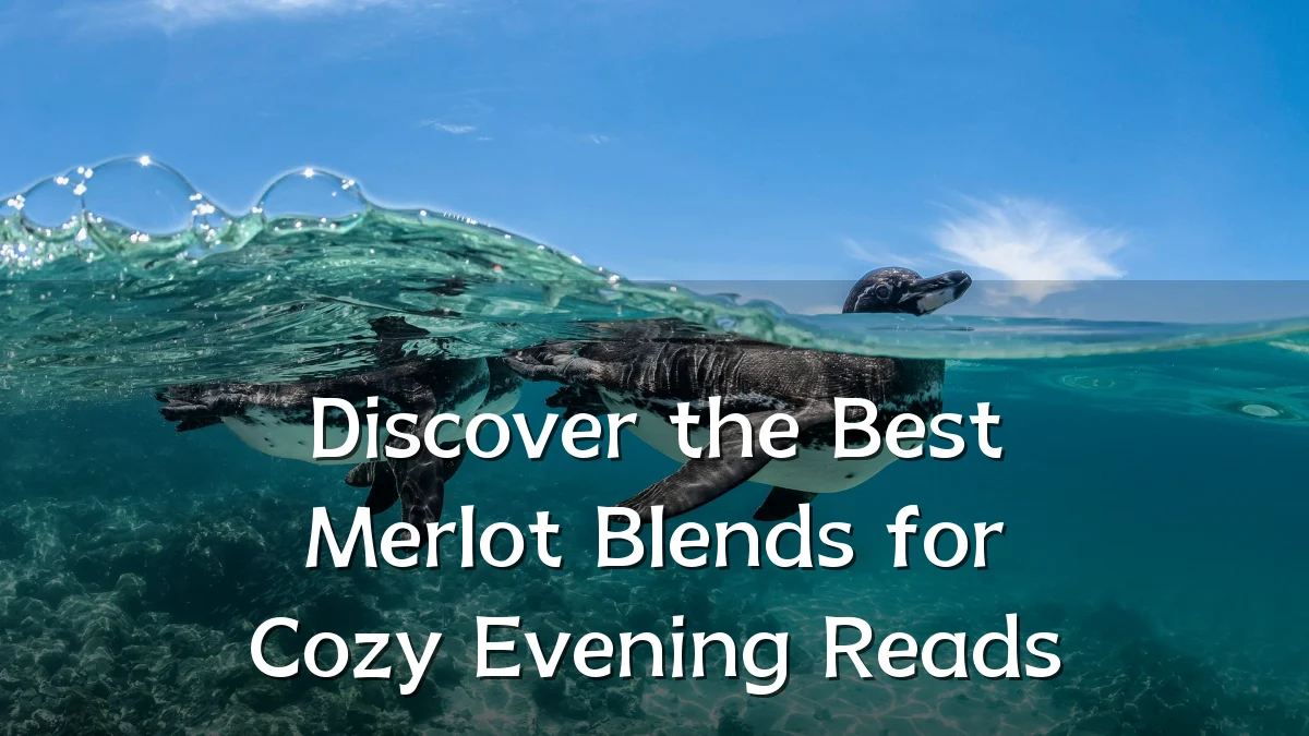 Discover the Best Merlot Blends for Cozy Evening Reads