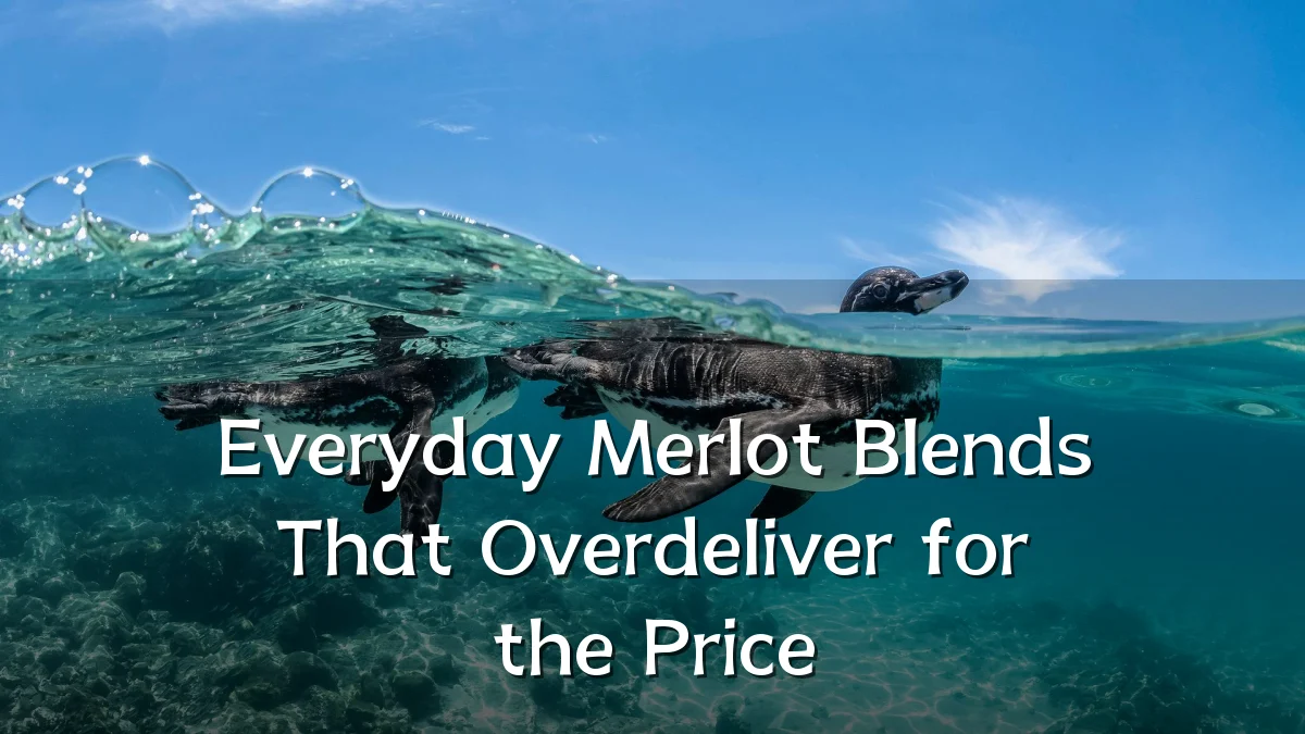 Everyday Merlot Blends That Overdeliver for the Price