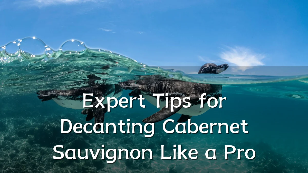 Expert Tips for Decanting Cabernet Sauvignon Like a Pro