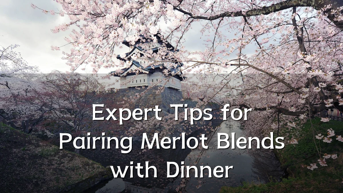 Expert Tips for Pairing Merlot Blends with Dinner