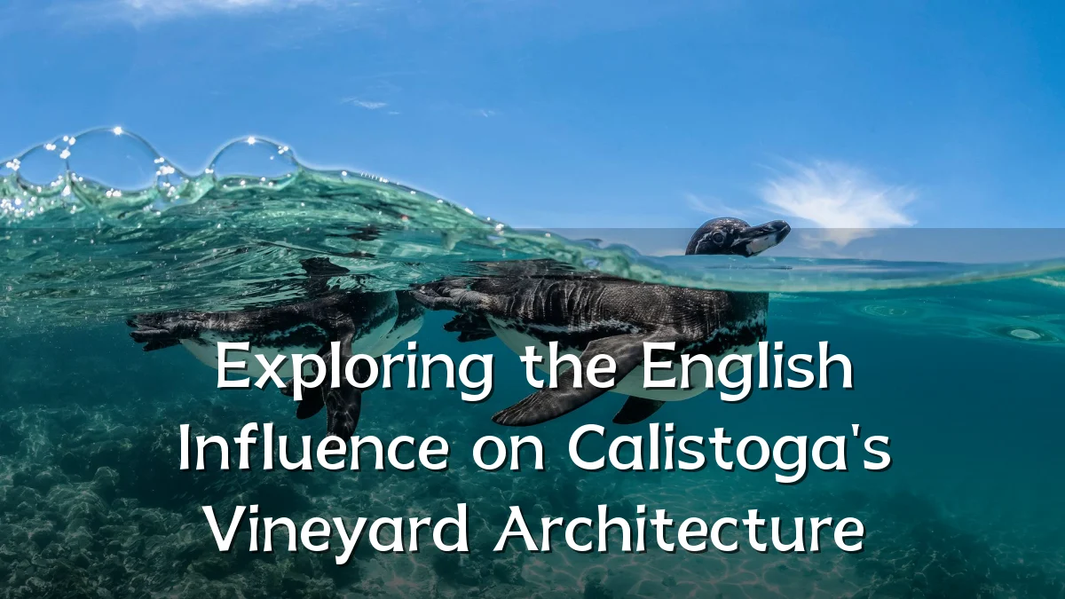 Exploring the English Influence on Calistoga's Vineyard Architecture