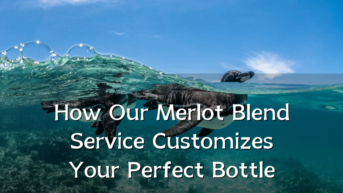 How Our Merlot Blend Service Customizes Your Perfect Bottle