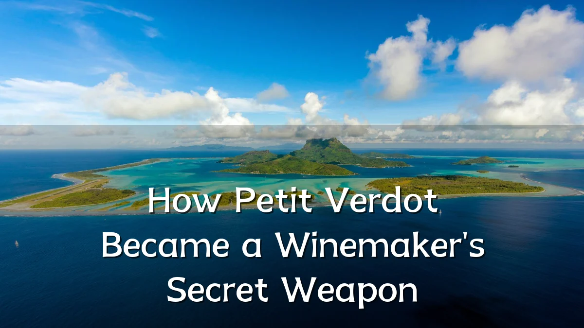 How Petit Verdot Became a Winemaker's Secret Weapon