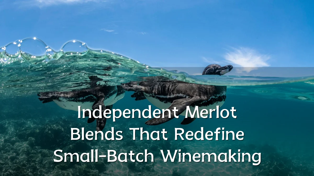Independent Merlot Blends That Redefine Small-Batch Winemaking
