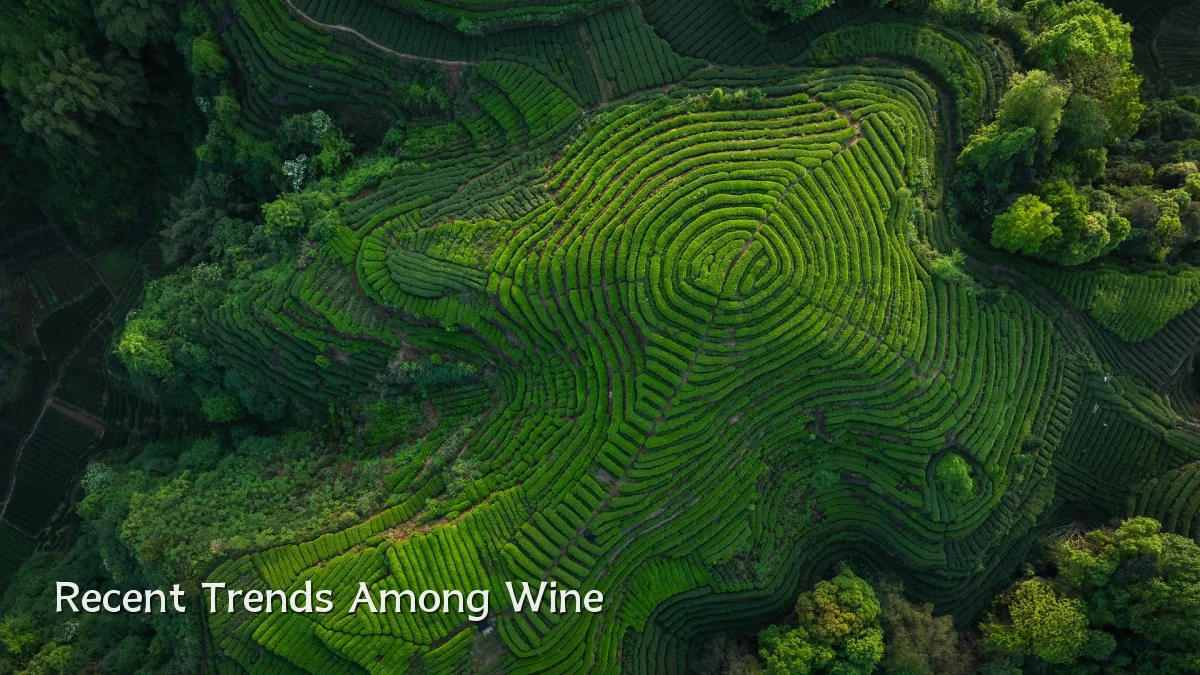 Recent Trends Among Wine