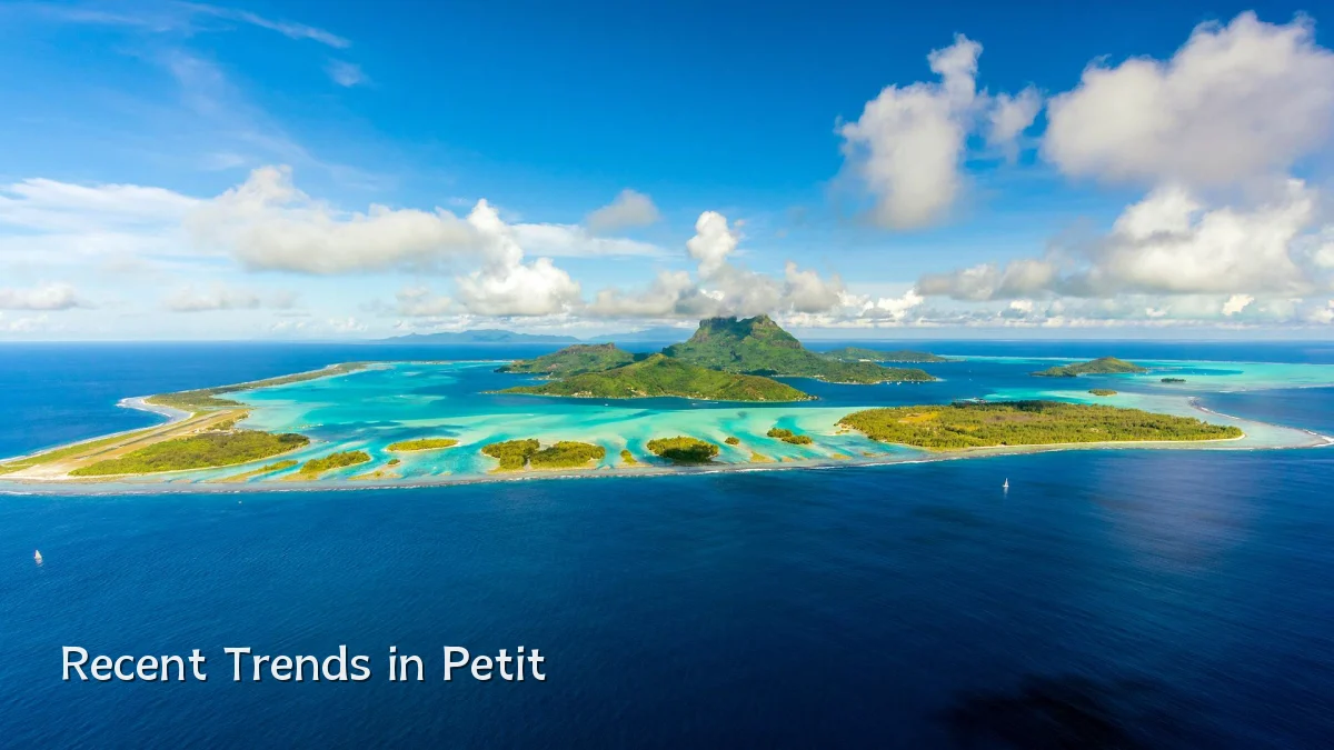 Recent Trends in Petit
