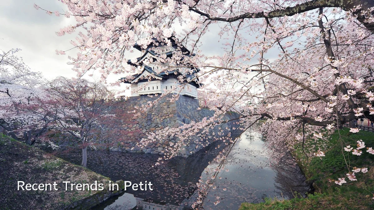 Recent Trends in Petit