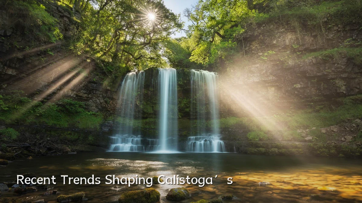 Recent Trends Shaping Calistoga’s