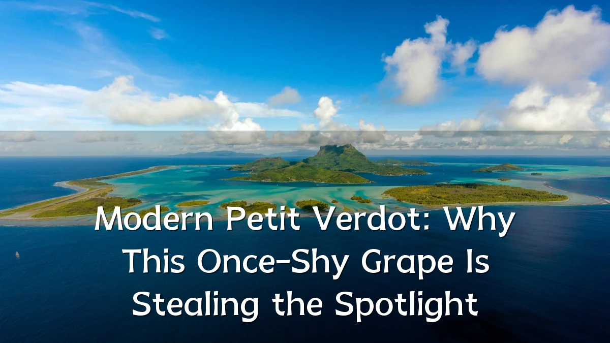 Modern Petit Verdot: Why This Once-Shy Grape Is Stealing the Spotlight