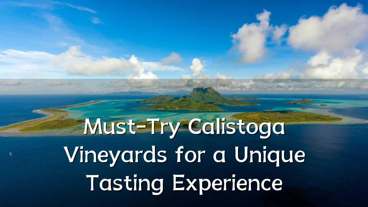 Must-Try Calistoga Vineyards for a Unique Tasting Experience