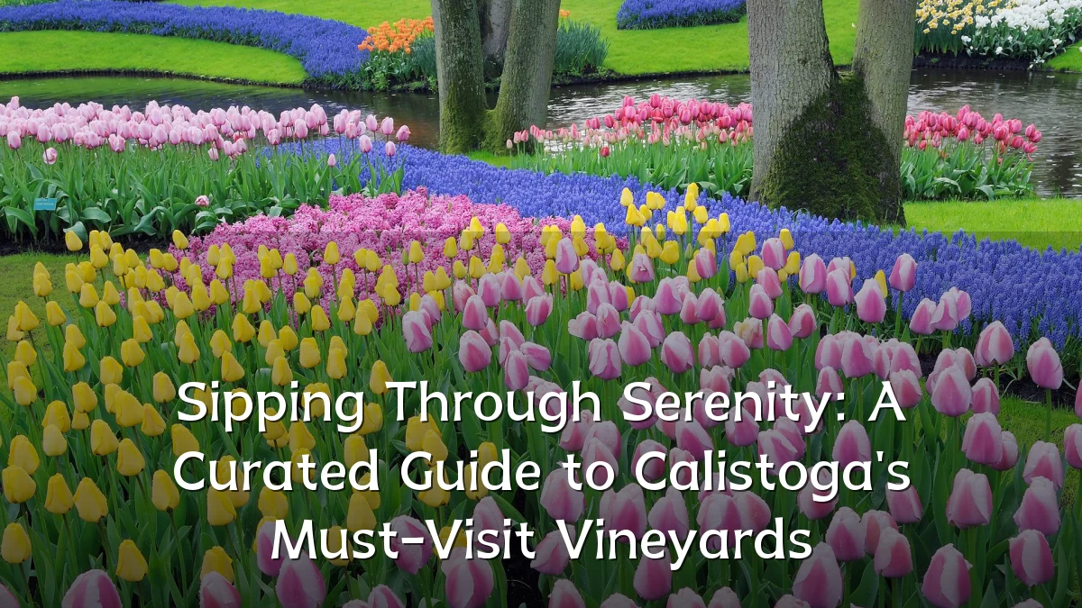 Sipping Through Serenity: A Curated Guide to Calistoga's Must-Visit Vineyards