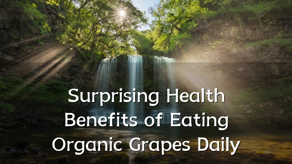 Surprising Health Benefits of Eating Organic Grapes Daily