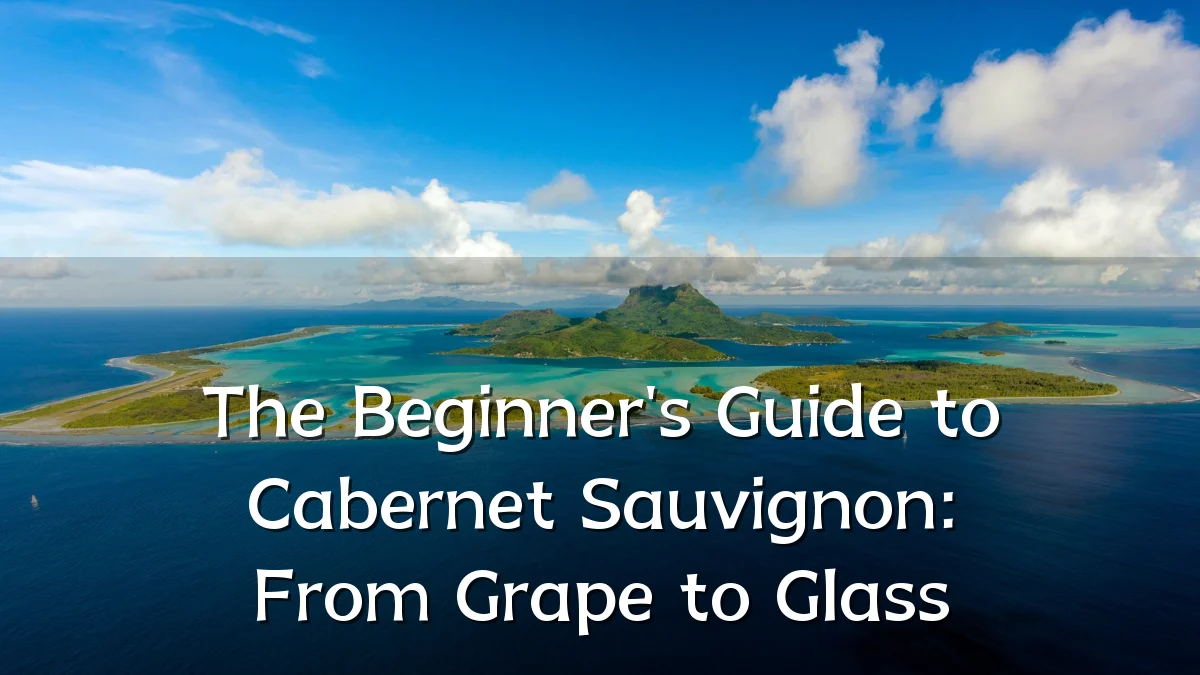 The Beginner's Guide to Cabernet Sauvignon: From Grape to Glass