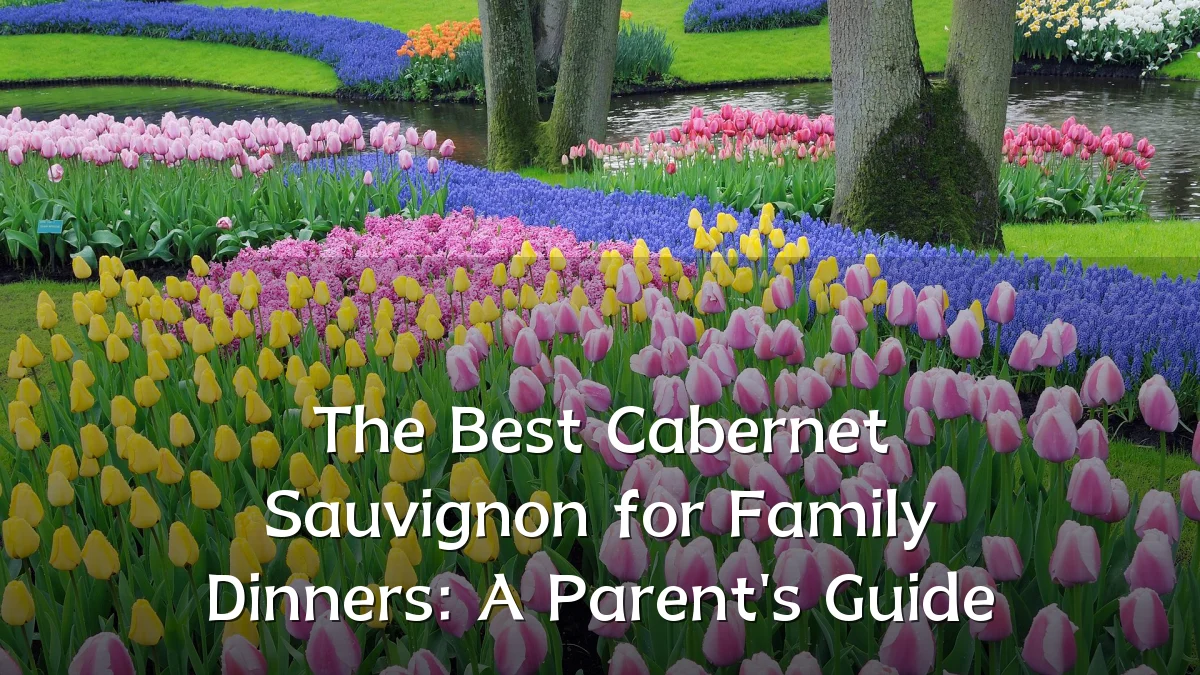 The Best Cabernet Sauvignon for Family Dinners: A Parent's Guide