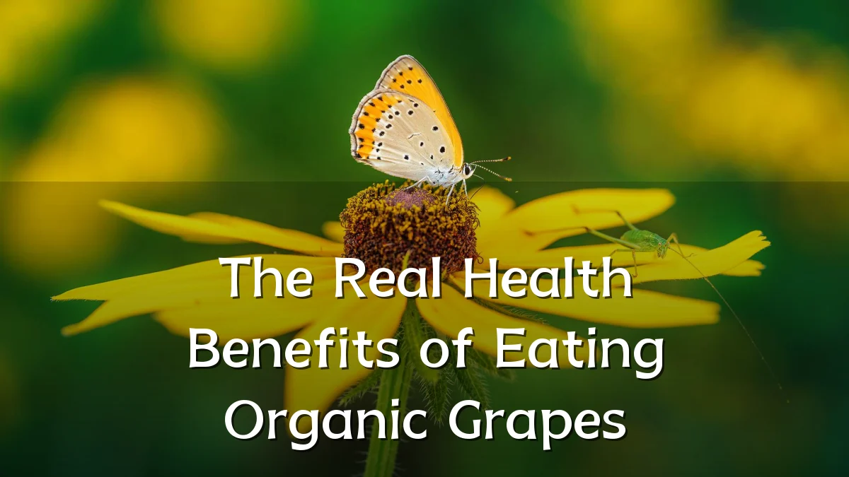 The Real Health Benefits of Eating Organic Grapes