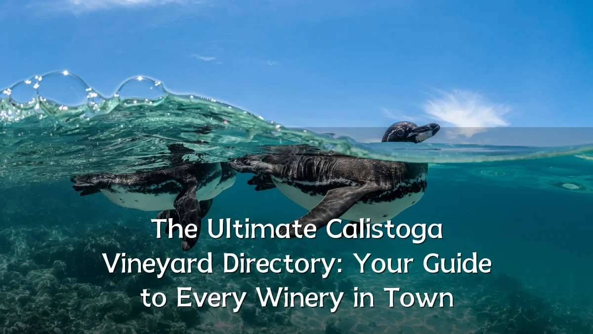 The Ultimate Calistoga Vineyard Directory: Your Guide to Every Winery in Town