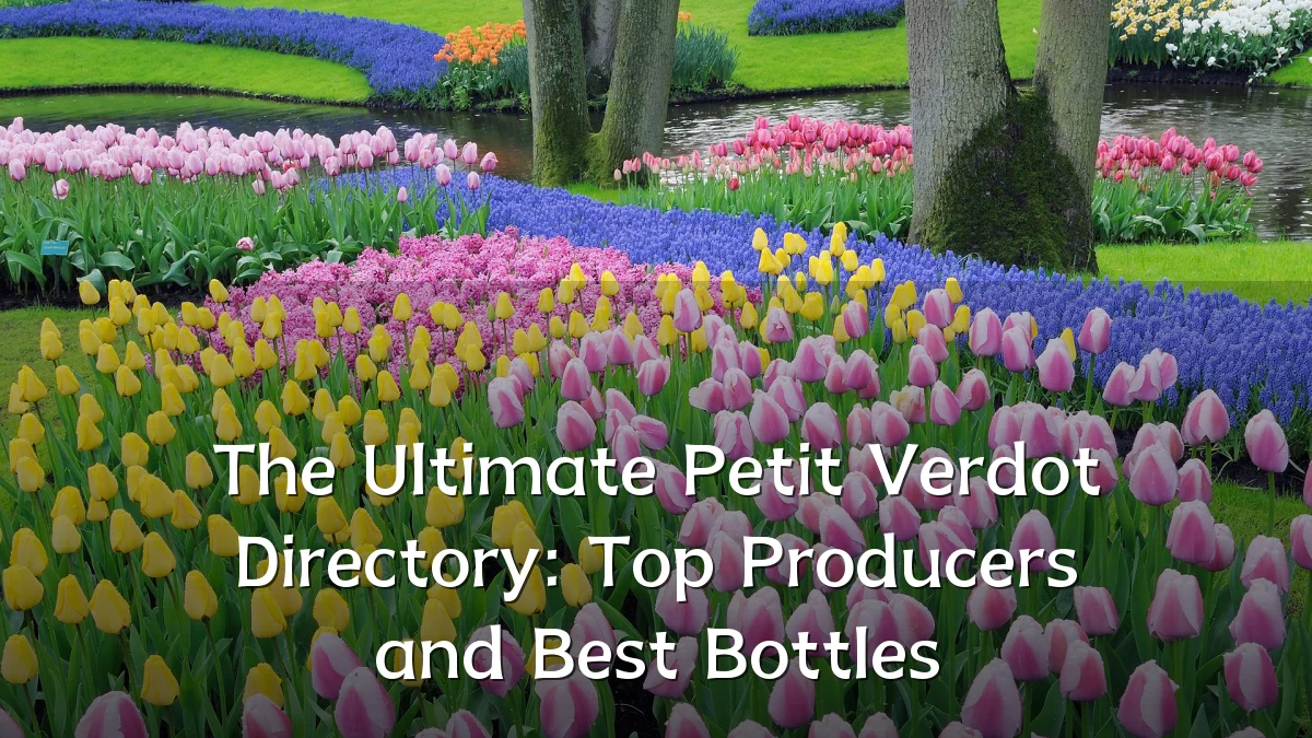 The Ultimate Petit Verdot Directory: Top Producers and Best Bottles