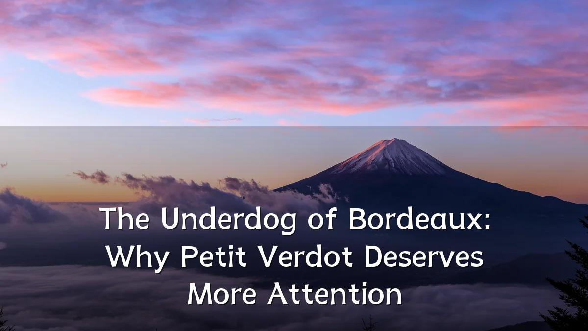 The Underdog of Bordeaux: Why Petit Verdot Deserves More Attention