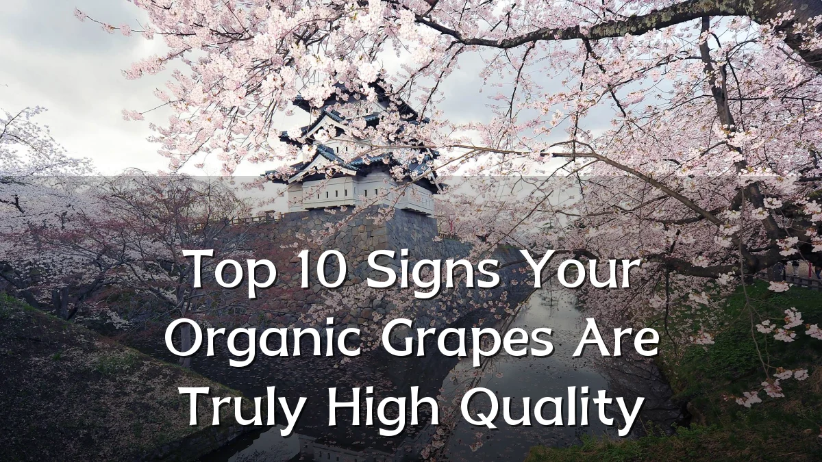 Top 10 Signs Your Organic Grapes Are Truly High Quality