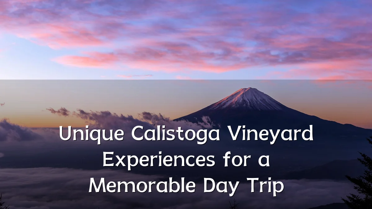 Unique Calistoga Vineyard Experiences for a Memorable Day Trip