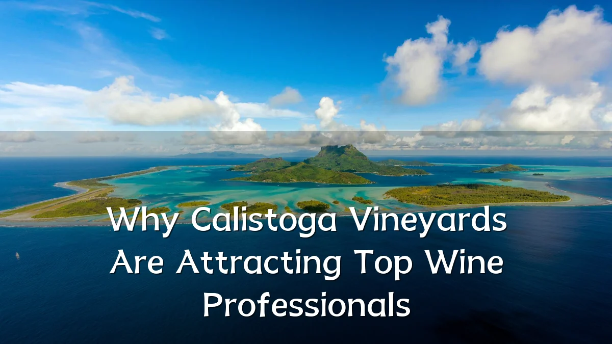Why Calistoga Vineyards Are Attracting Top Wine Professionals