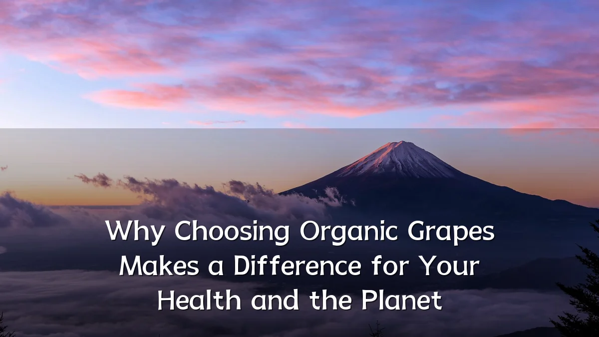 Why Choosing Organic Grapes Makes a Difference for Your Health and the Planet