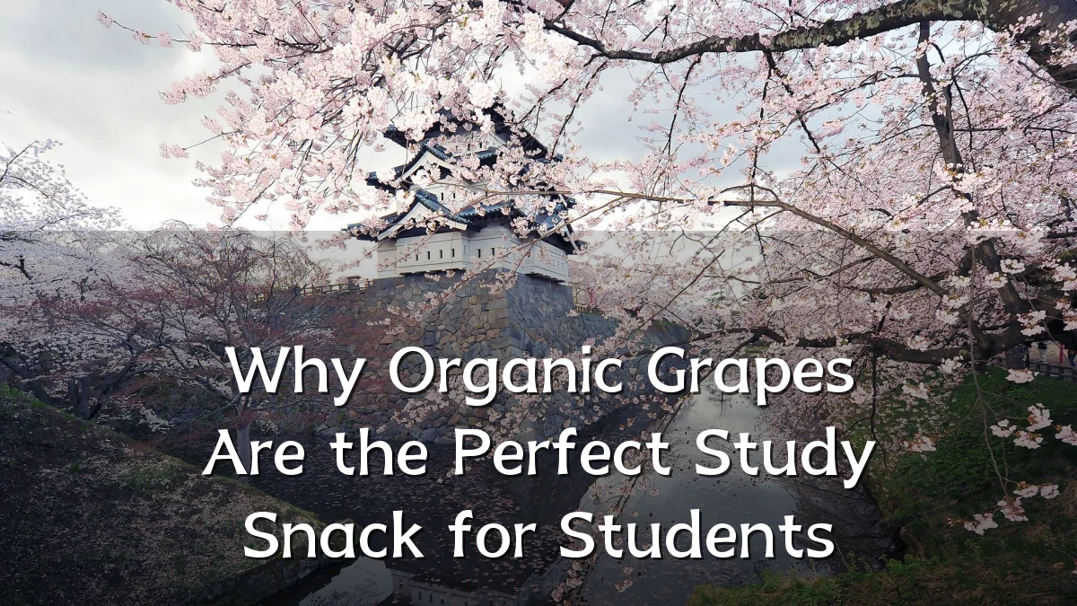 Why Organic Grapes Are the Perfect Study Snack for Students