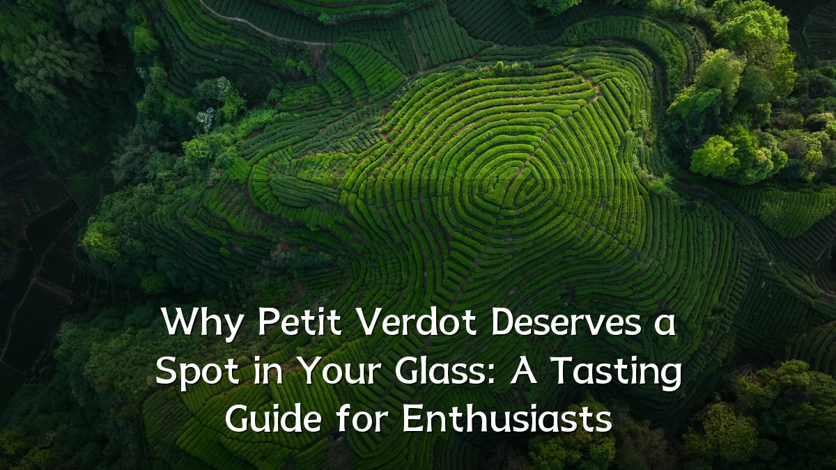Why Petit Verdot Deserves a Spot in Your Glass: A Tasting Guide for Enthusiasts