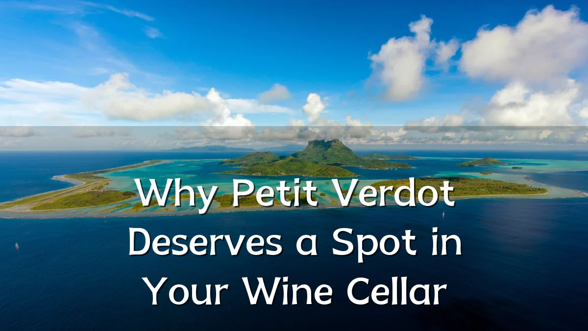 Why Petit Verdot Deserves a Spot in Your Wine Cellar