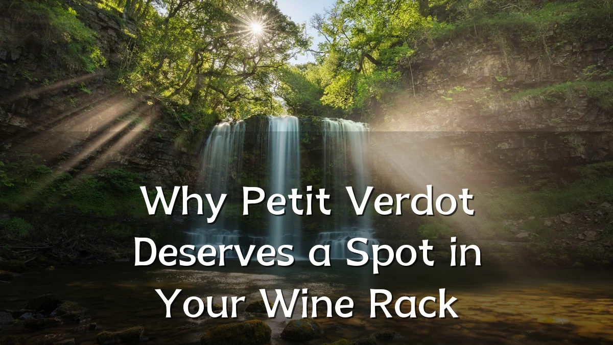 Why Petit Verdot Deserves a Spot in Your Wine Rack