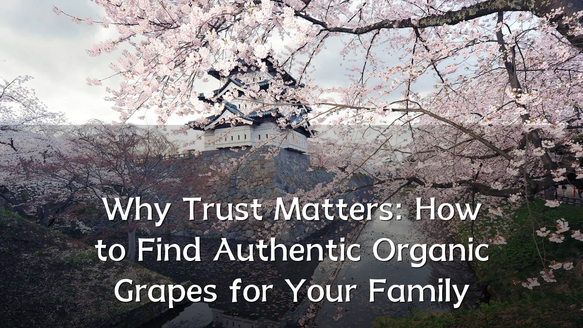 Why Trust Matters: How to Find Authentic Organic Grapes for Your Family